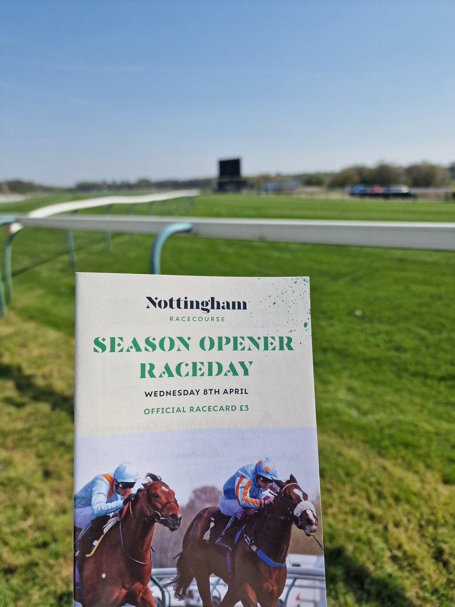 Tracy 🏇 tweet media