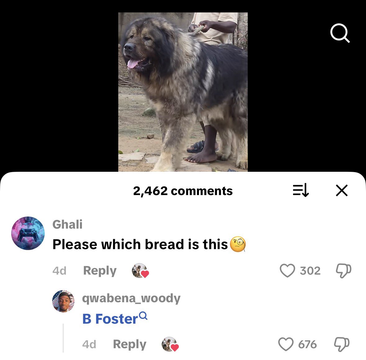 Nana Akwa tweet media