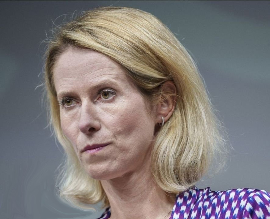 SILBER-FRAU tweet media