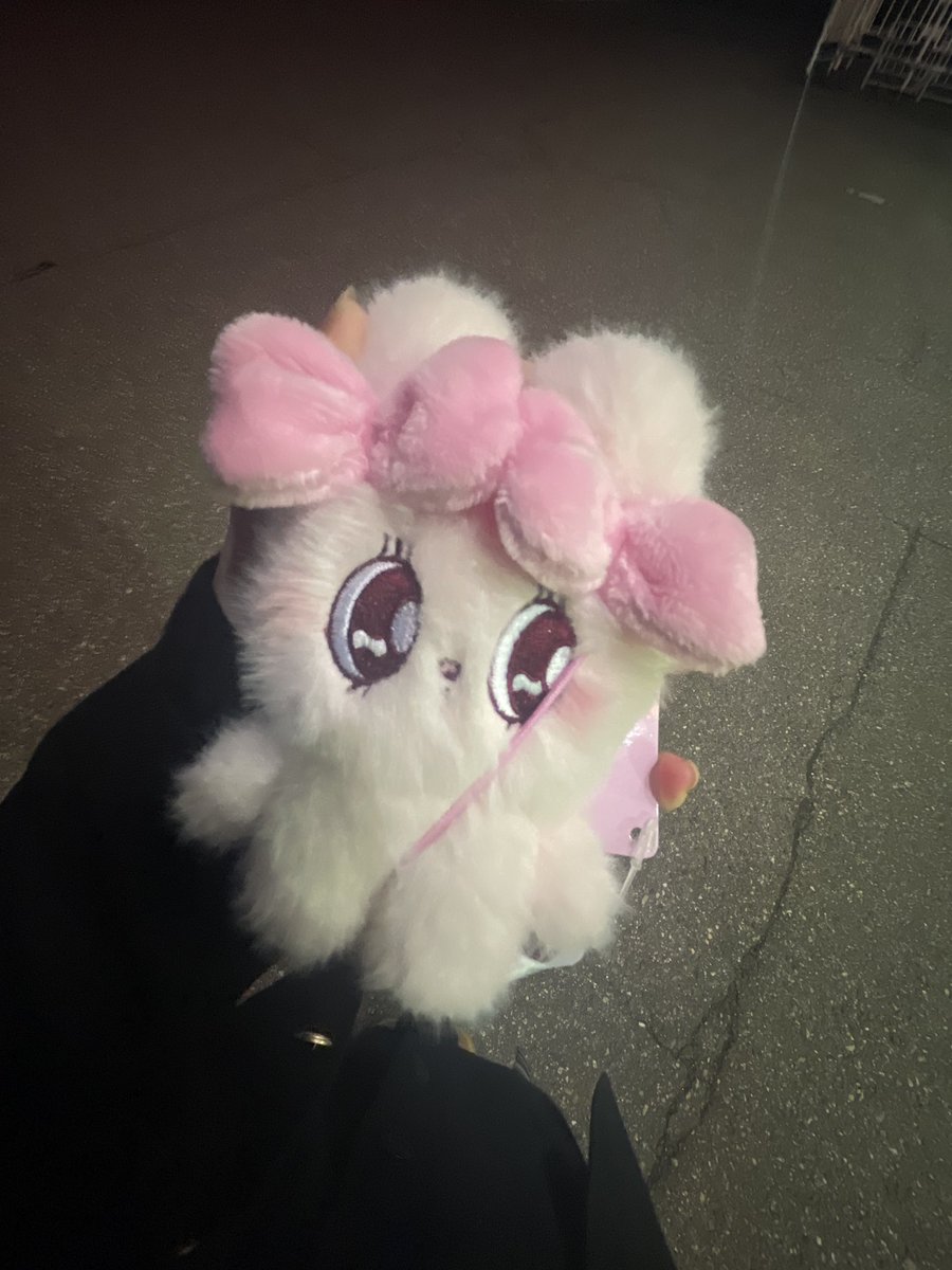 ニャンちゅうワールド放送局 tweet media