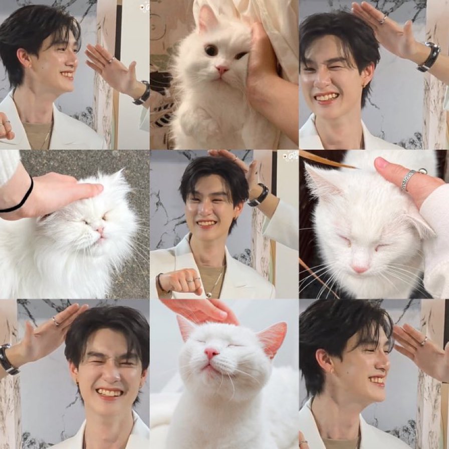 TD’🐻🌻🌙🍑🐰 tweet media