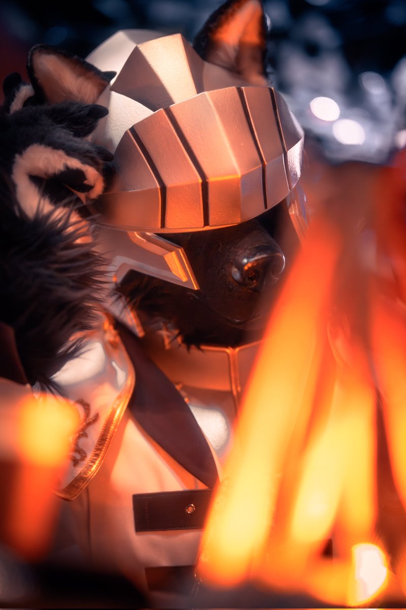 토르갈 tweet media