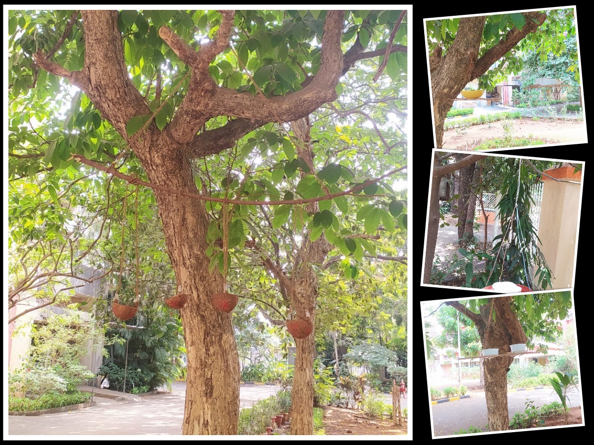 Indian Institute of Geomagnetism tweet media