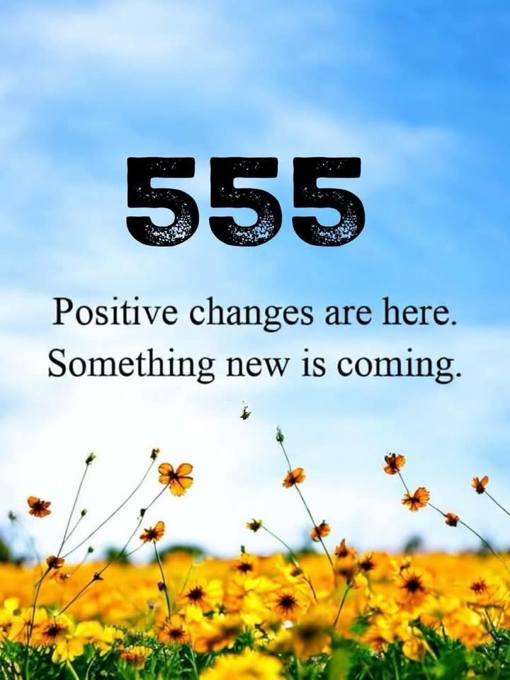 Manifest Your Dream Life✨ tweet media
