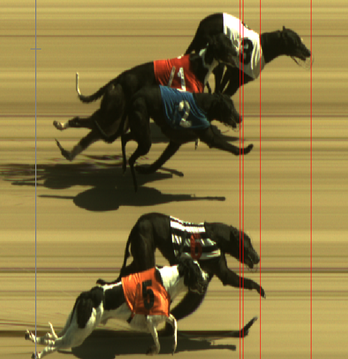 Monmore Racing Office tweet media