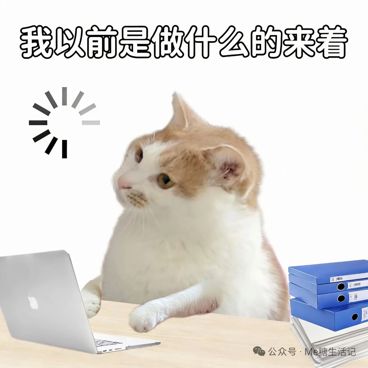 重庆刘亦菲 tweet media