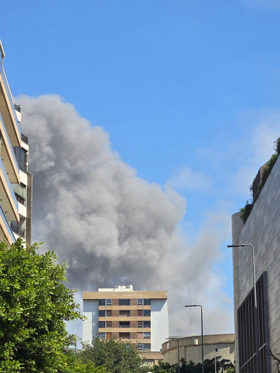 roqayah chamseddine tweet media