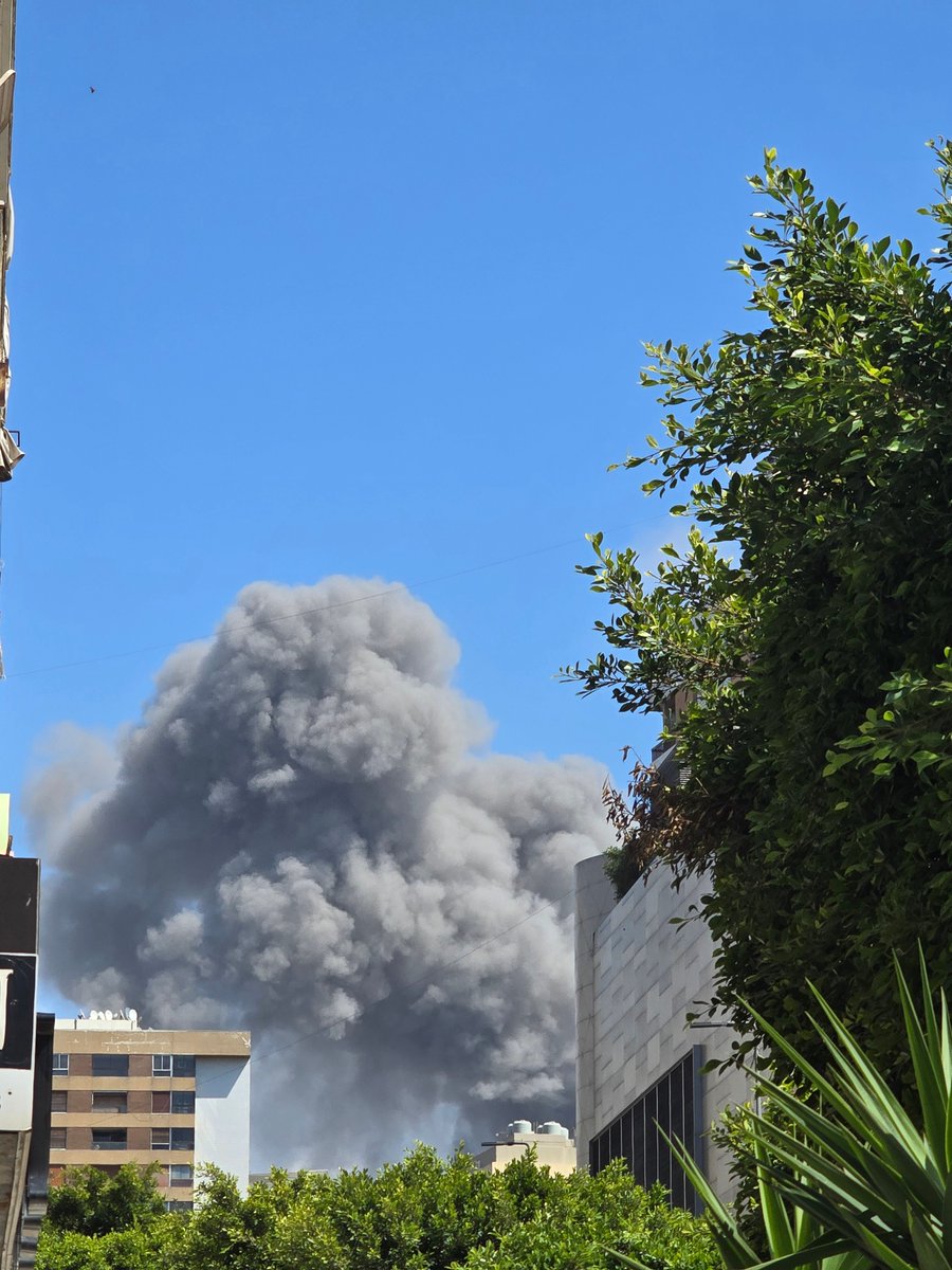 roqayah chamseddine tweet media