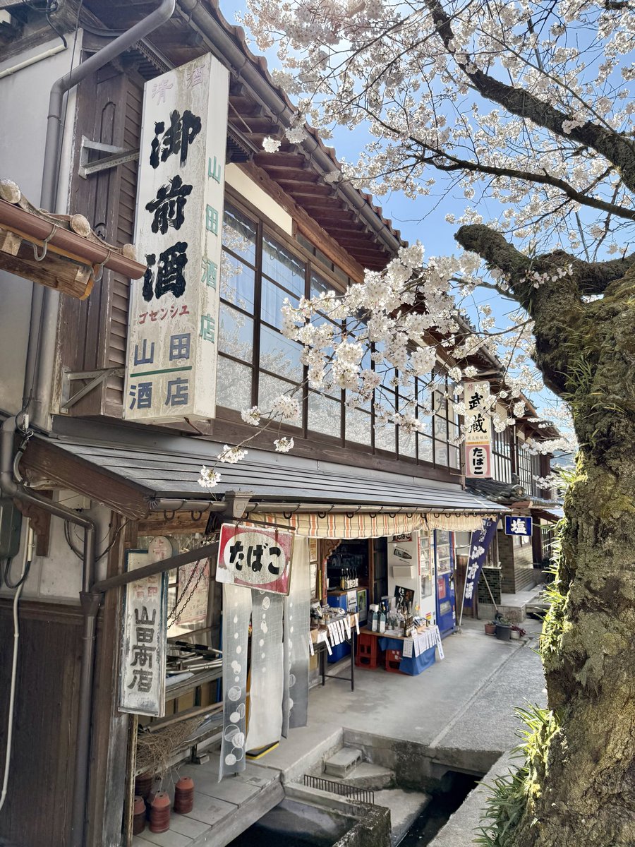 けいカメラ tweet media