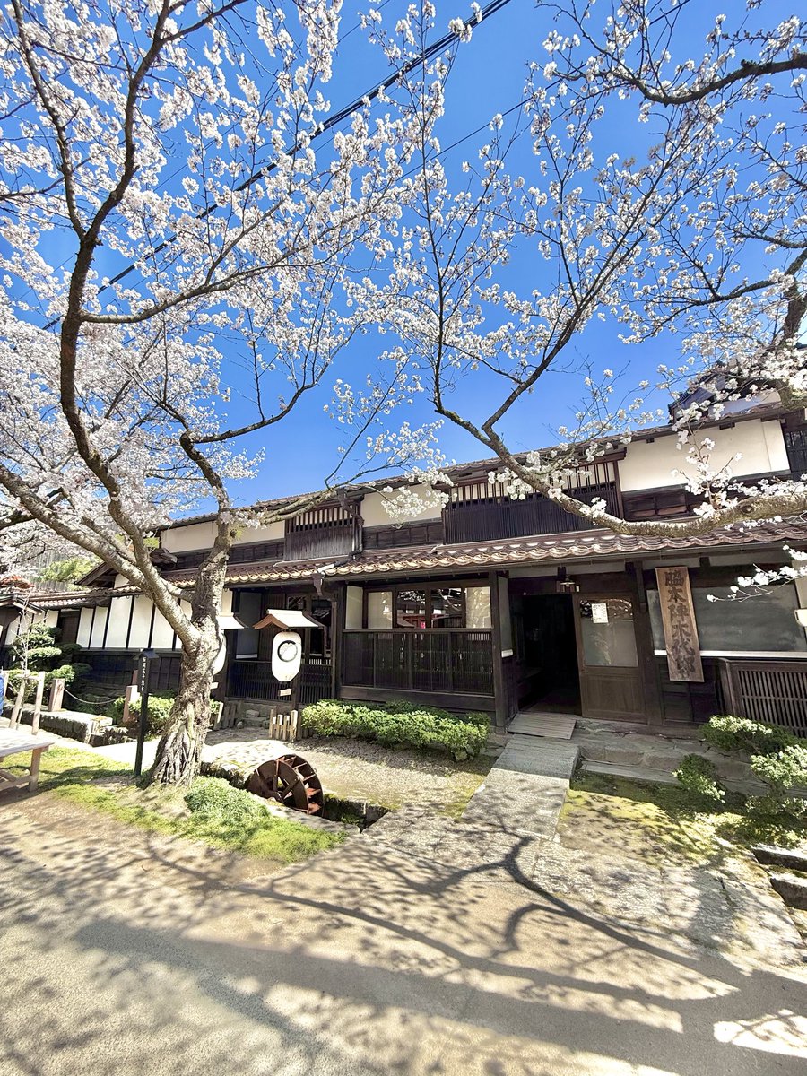 けいカメラ tweet media