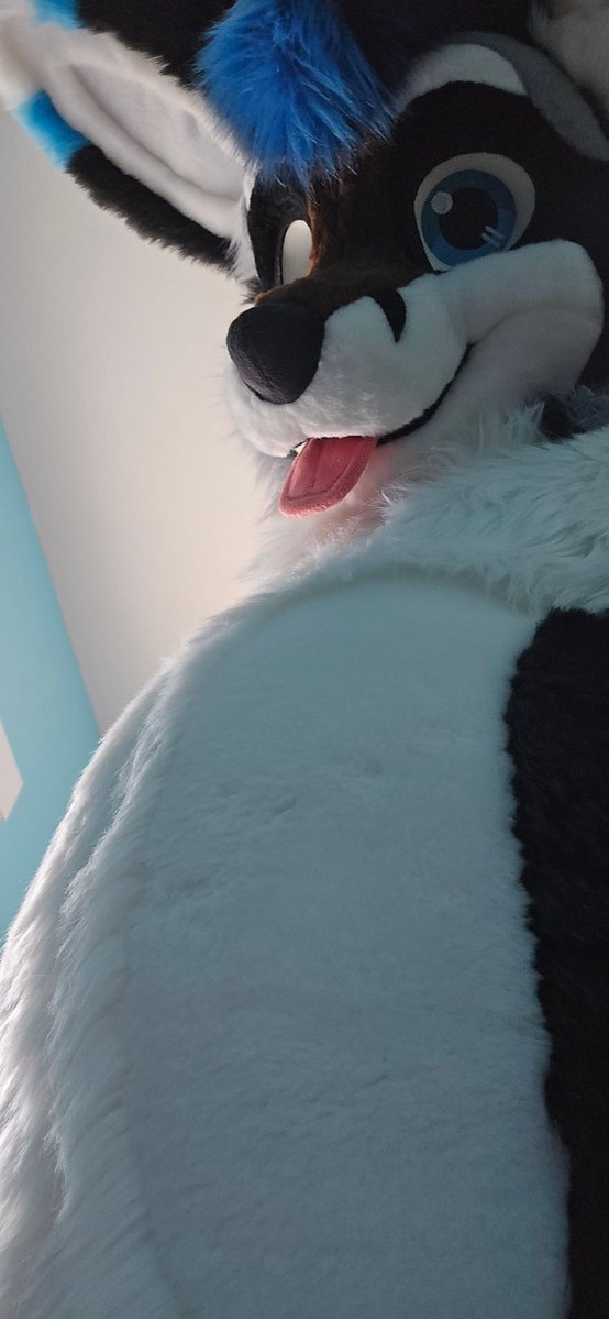 Ethan 🦊🦝 tweet media