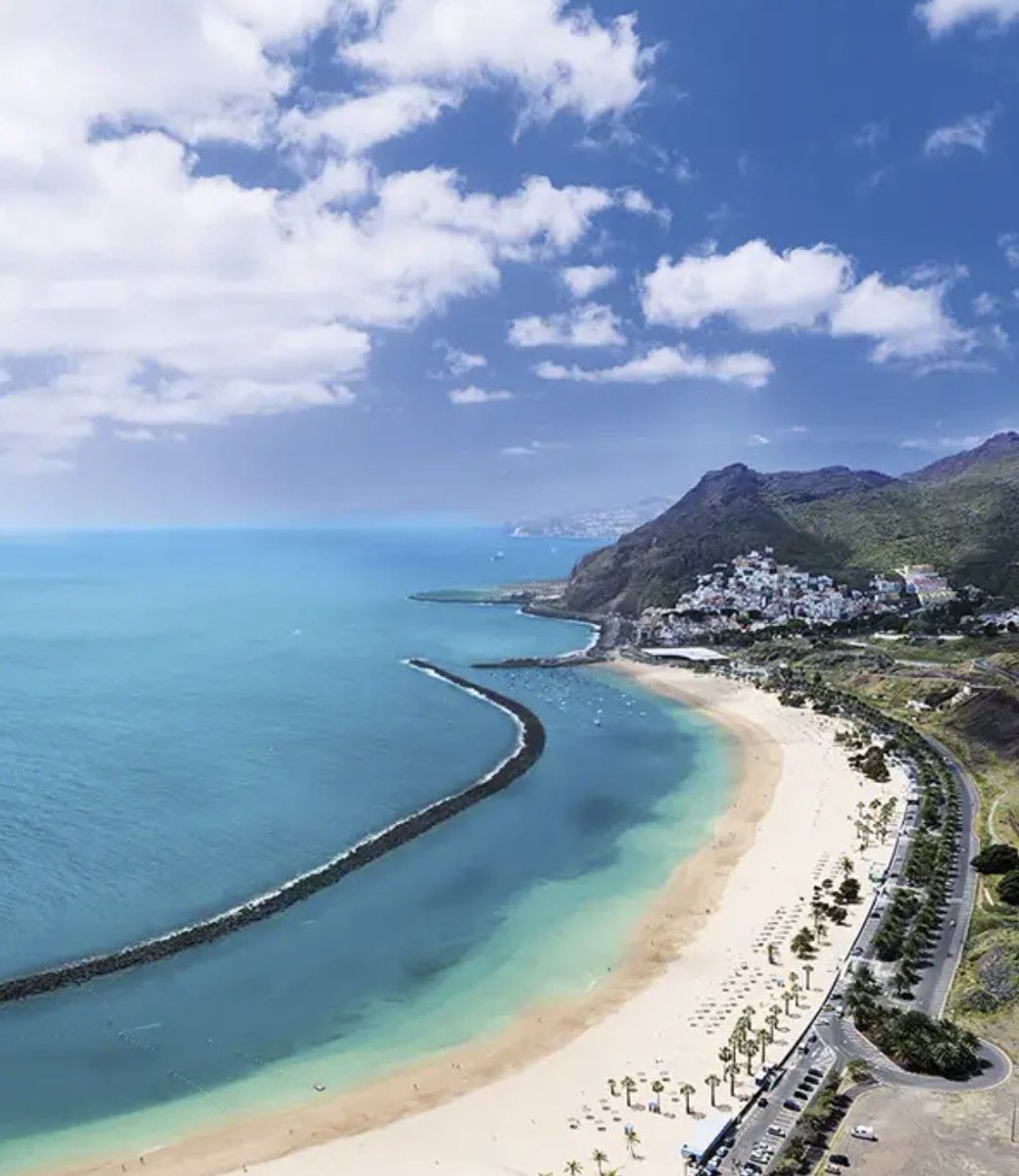 Madame Duddendahl tweet media