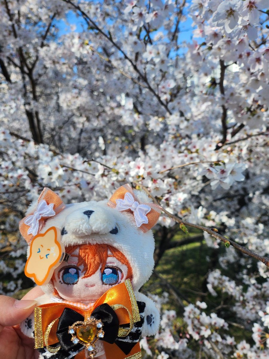 벼라ʕت̫͡ʔ tweet media