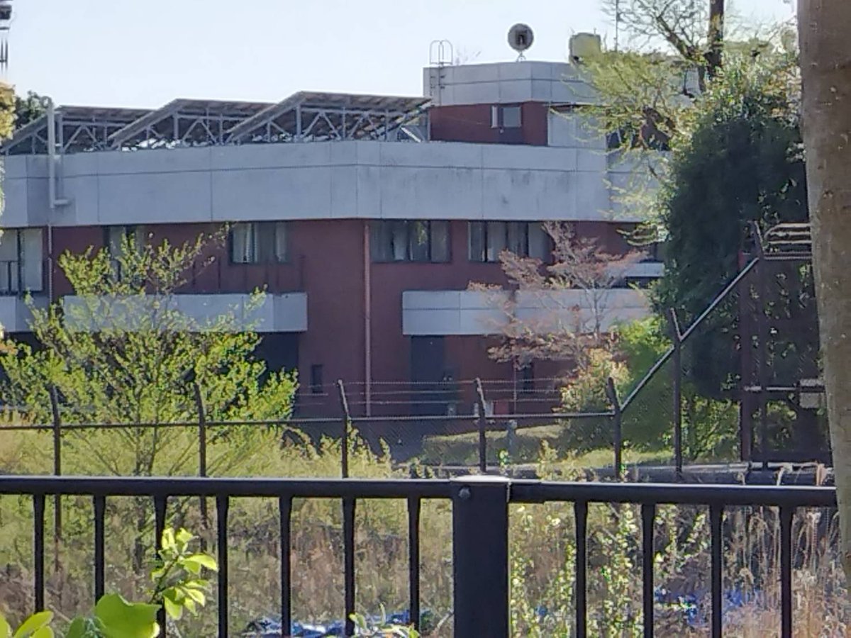 メンシコフ tweet media