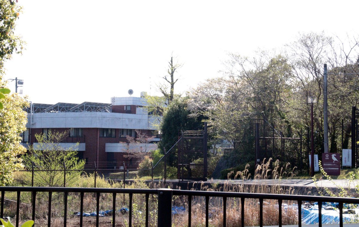 メンシコフ tweet media