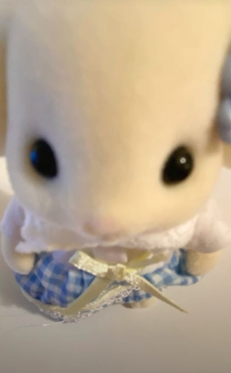 rae 𐙚 tweet media