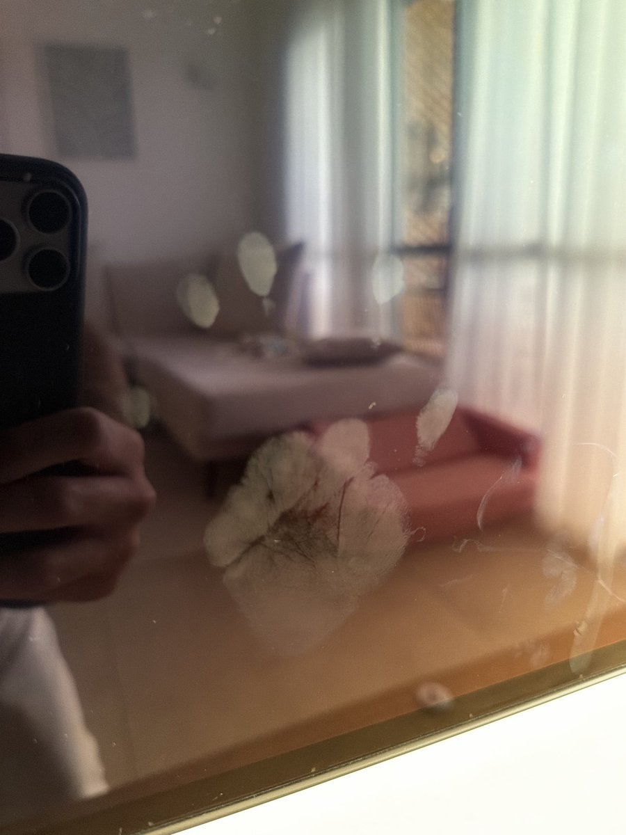 Yuval Gabay tweet media