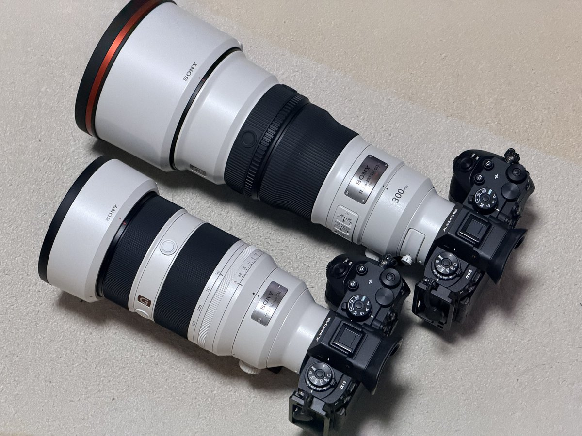 Perorinn tweet media