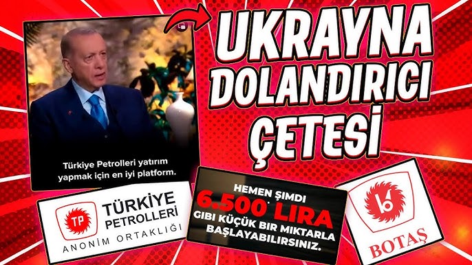 alfakeko tweet media