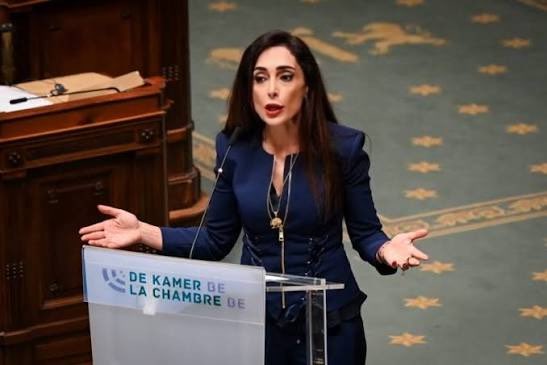 Darya Safai MP tweet media