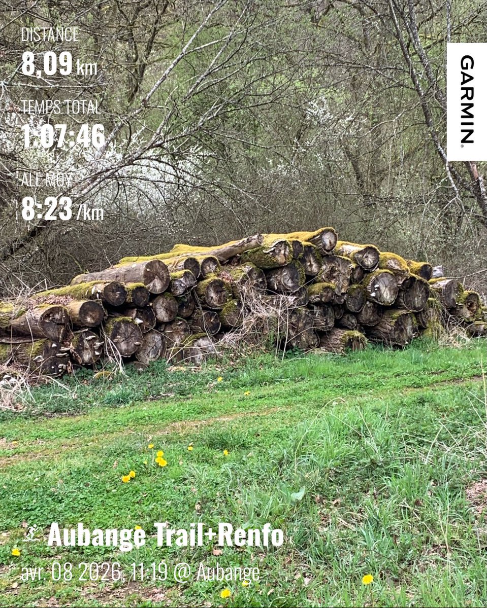 Au menu du jour : footing tout terrain en alternant quelques séries de : burpees-pompes-squats pour le renforcement musculaire