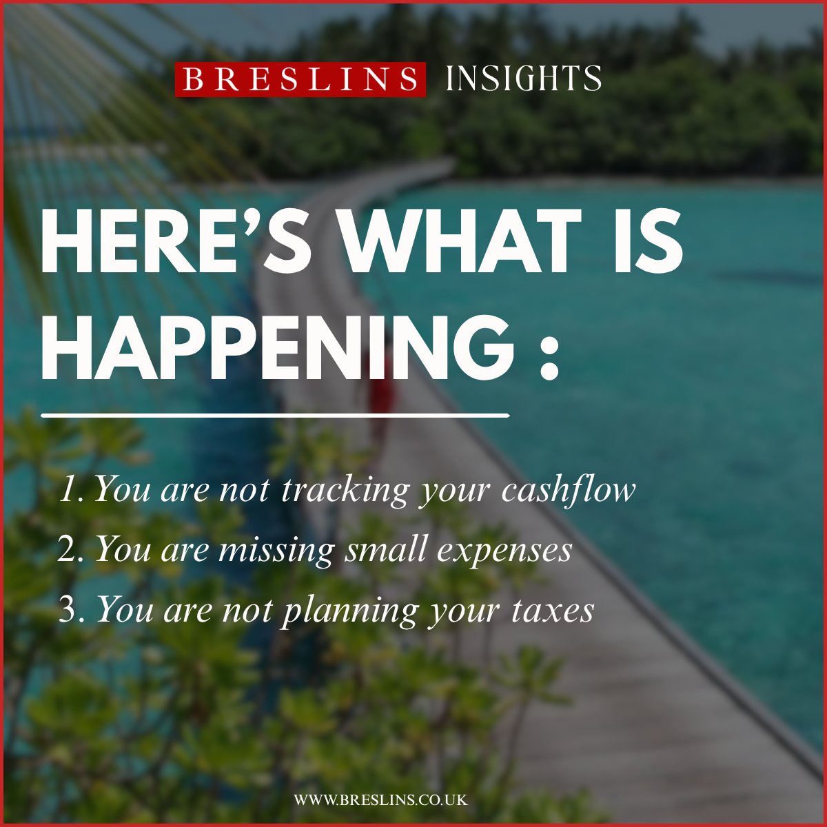 Breslins tweet media