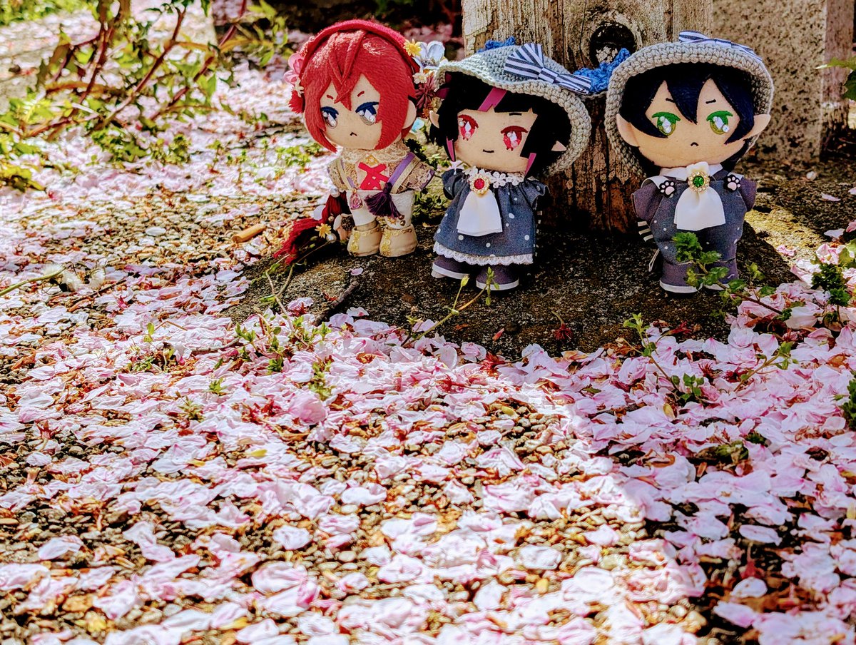 桜の季節に来たのは初めてで、こんな賑やかになるんだ😳見頃過ぎたが桜吹雪を浴びるのも風流だな。
