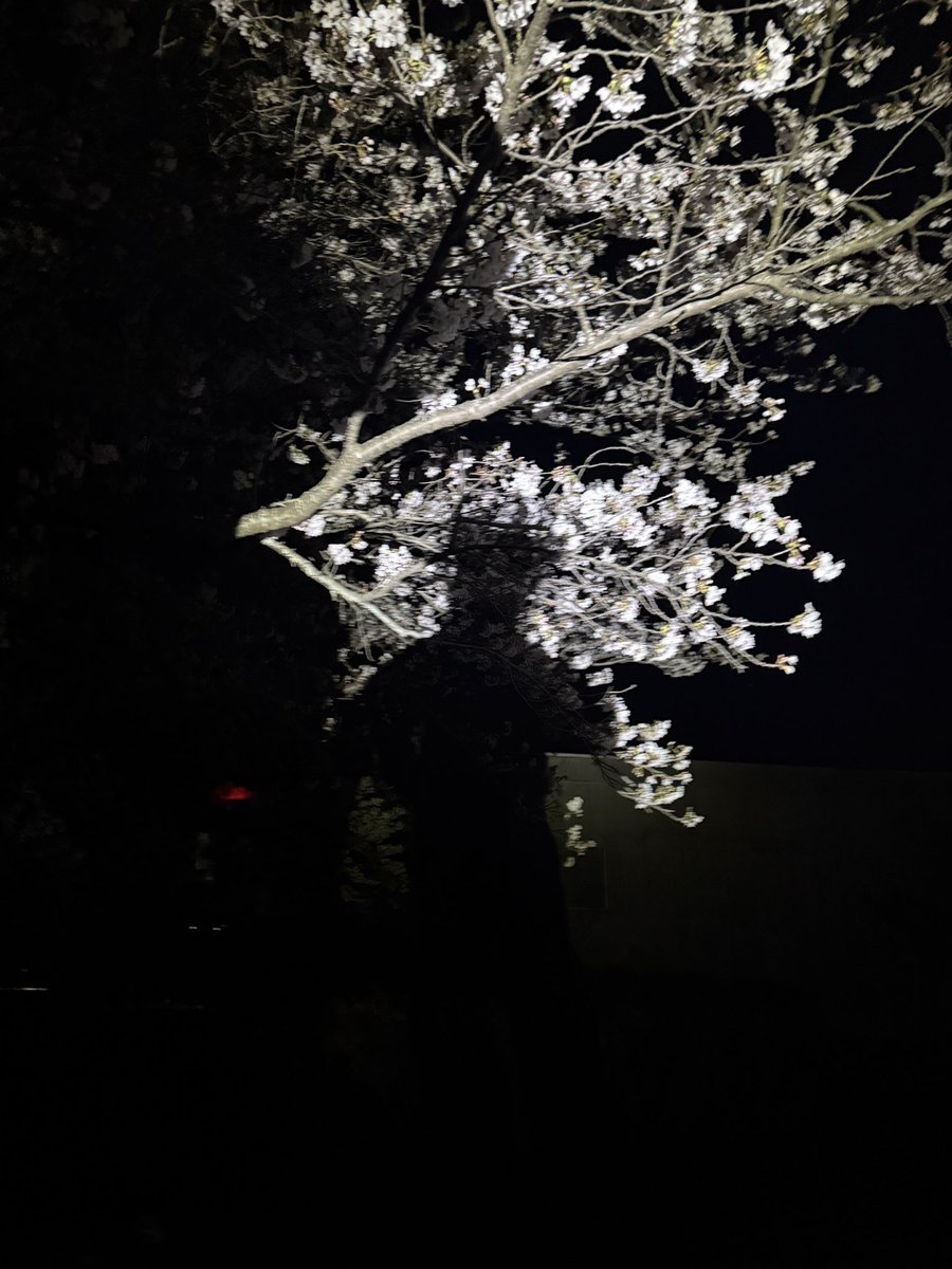 𝐡𝟏𝐱 tweet media