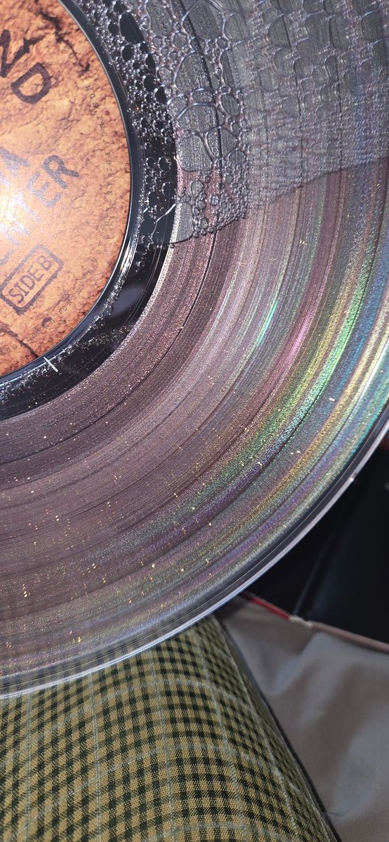 courtz 🐾 tweet media