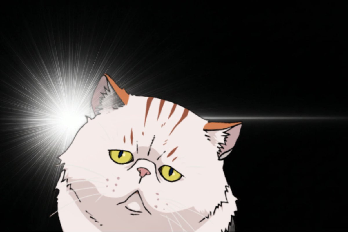 ハム太郎 tweet media