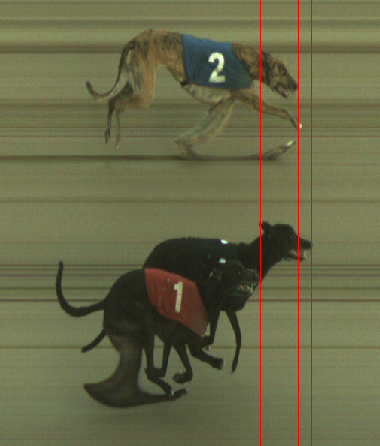 Monmore Racing Office tweet media