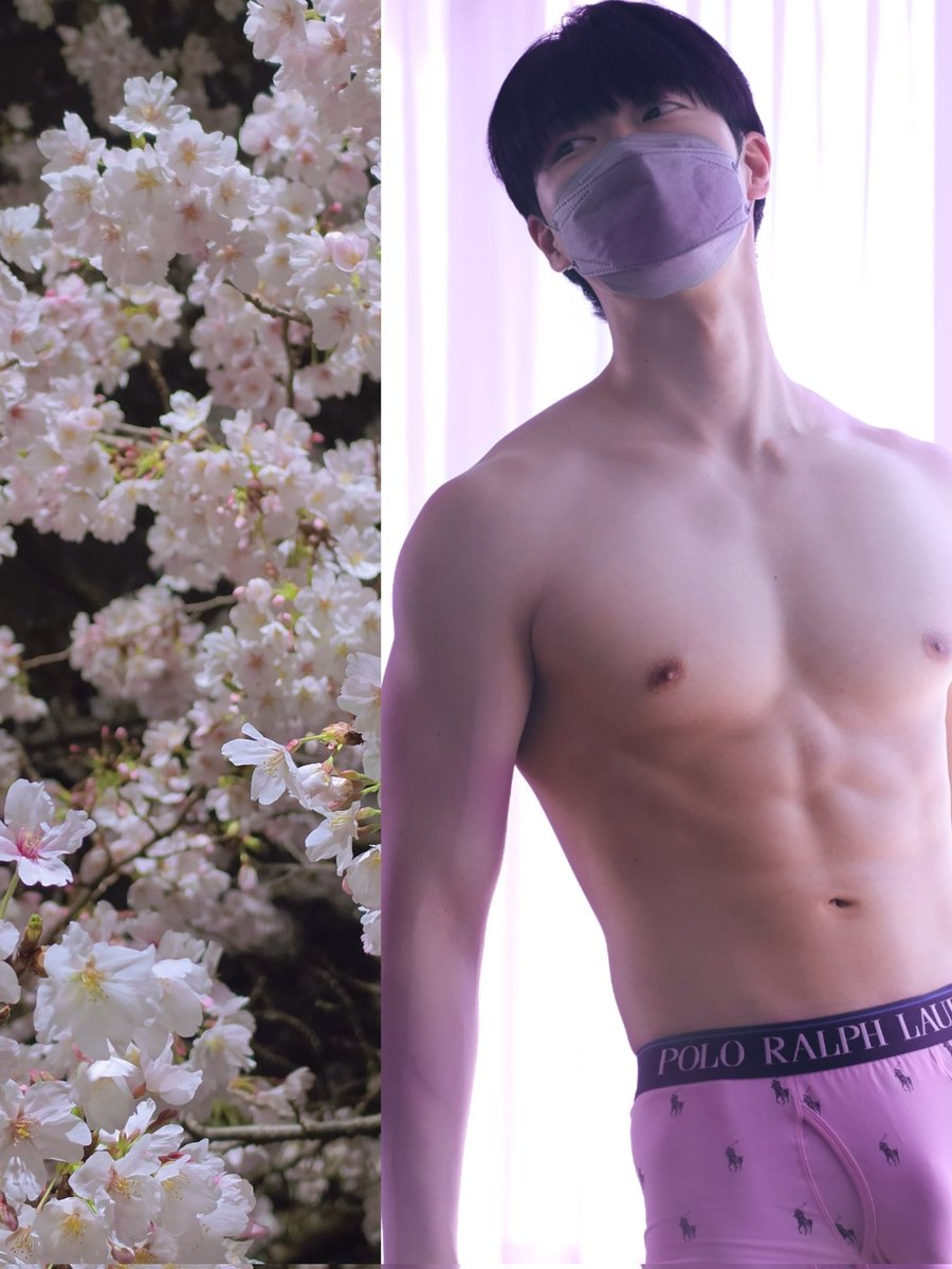 ゆうき@筋築家 tweet media