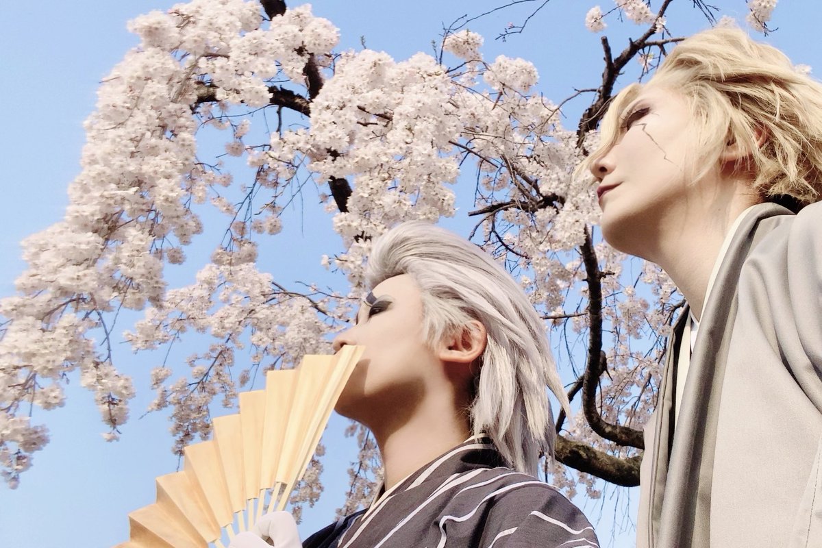 しのぶ tweet media