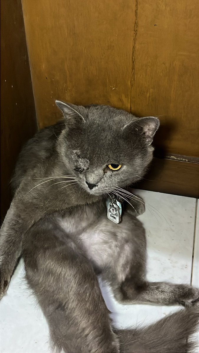 seoulight_ tweet media