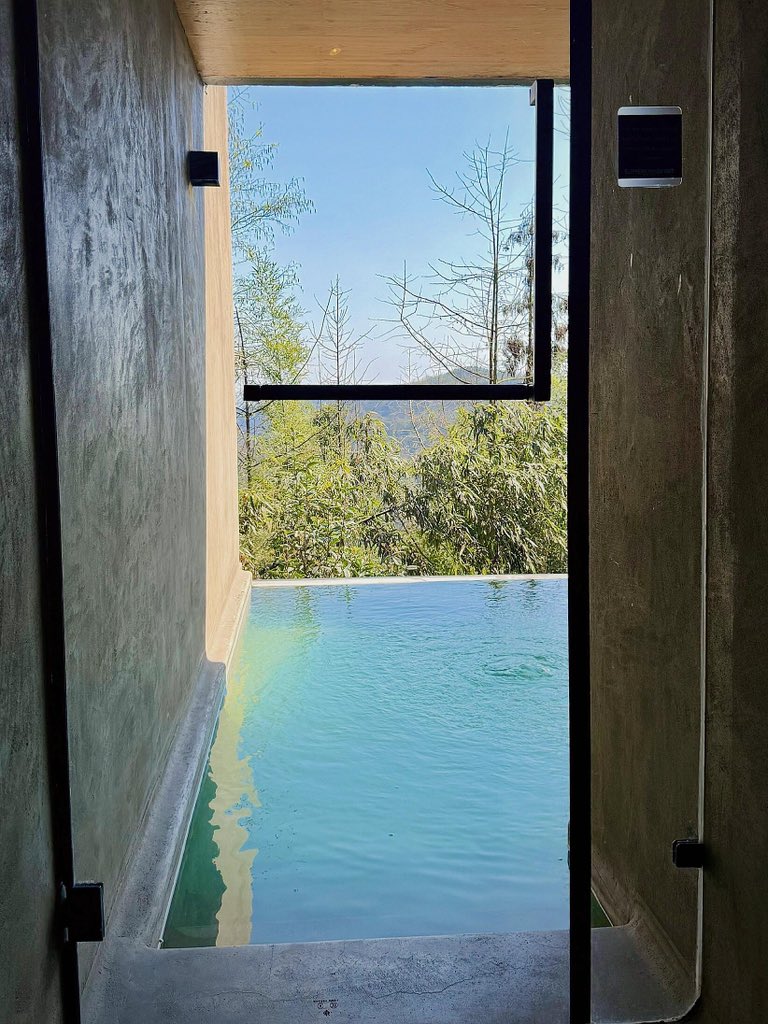 齐馨♠️ tweet media