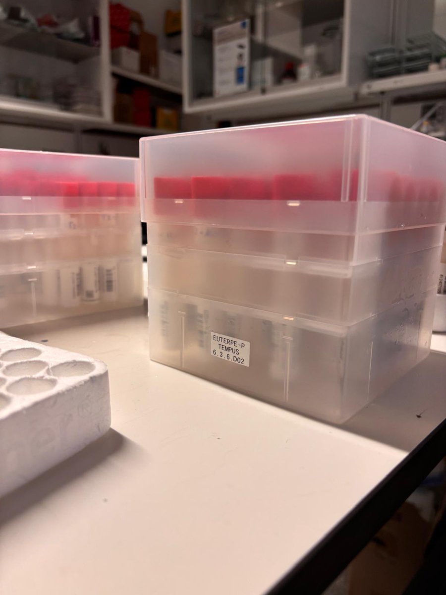 sensogenomics's tweet photo. PROCESANDO....PROCESANDO.....Mostras de saliva recollidas en Portugal. Grazas aos participantes portugueses da Santa Casa da Misericordia e de Alzheimer Portugal. No noso laboratorio estamos traballando procesando as mostras para poder ser analizadas despois.

#EUTERPEadn https://t.co/9M5kO74kj6