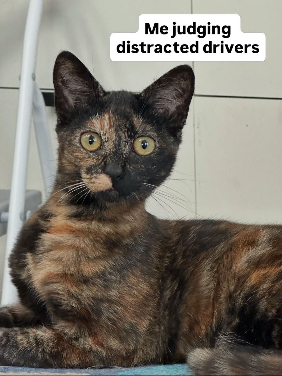 VCU Parking & Transportation tweet media