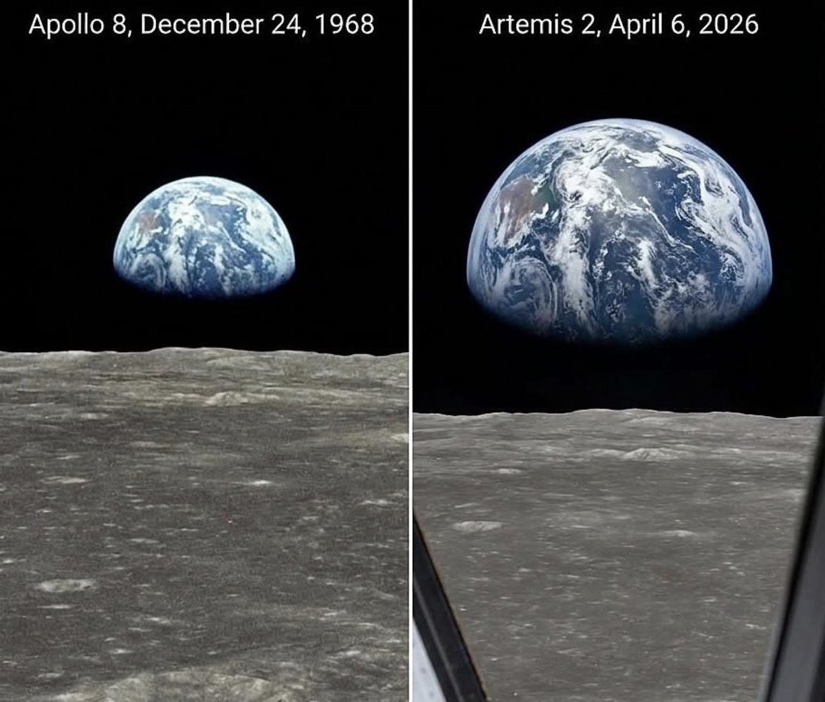 Andrew Bridgen tweet media