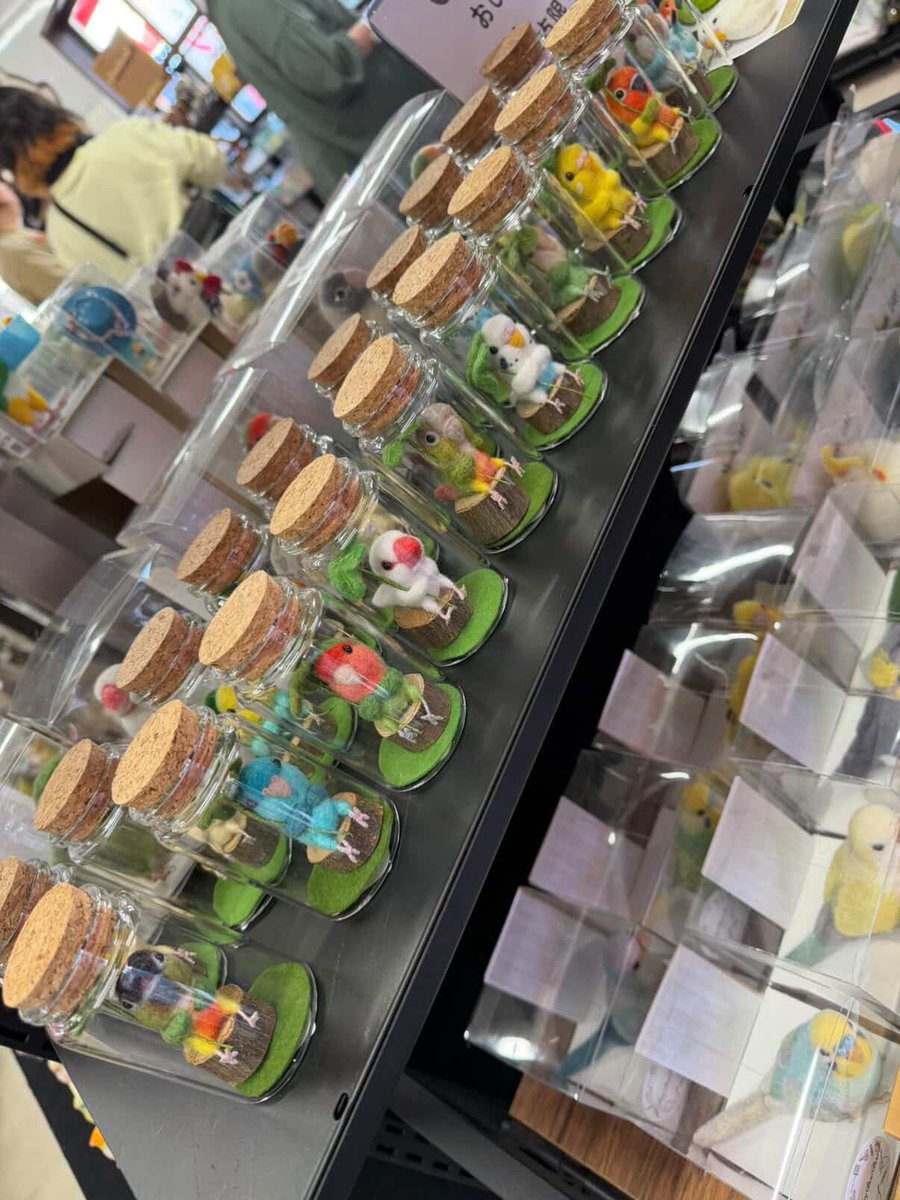 #ことりバザール いよいよ明日から！
ガラスボトルの後ろにもリアルタイプを並べていただいてます。
おひとり様1点となります。よろしくお願いいたします🙇‍♀️

#サイボク