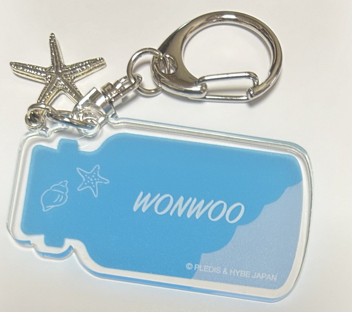 🎀✨(固ツイ必読/リプ通知不良) tweet media