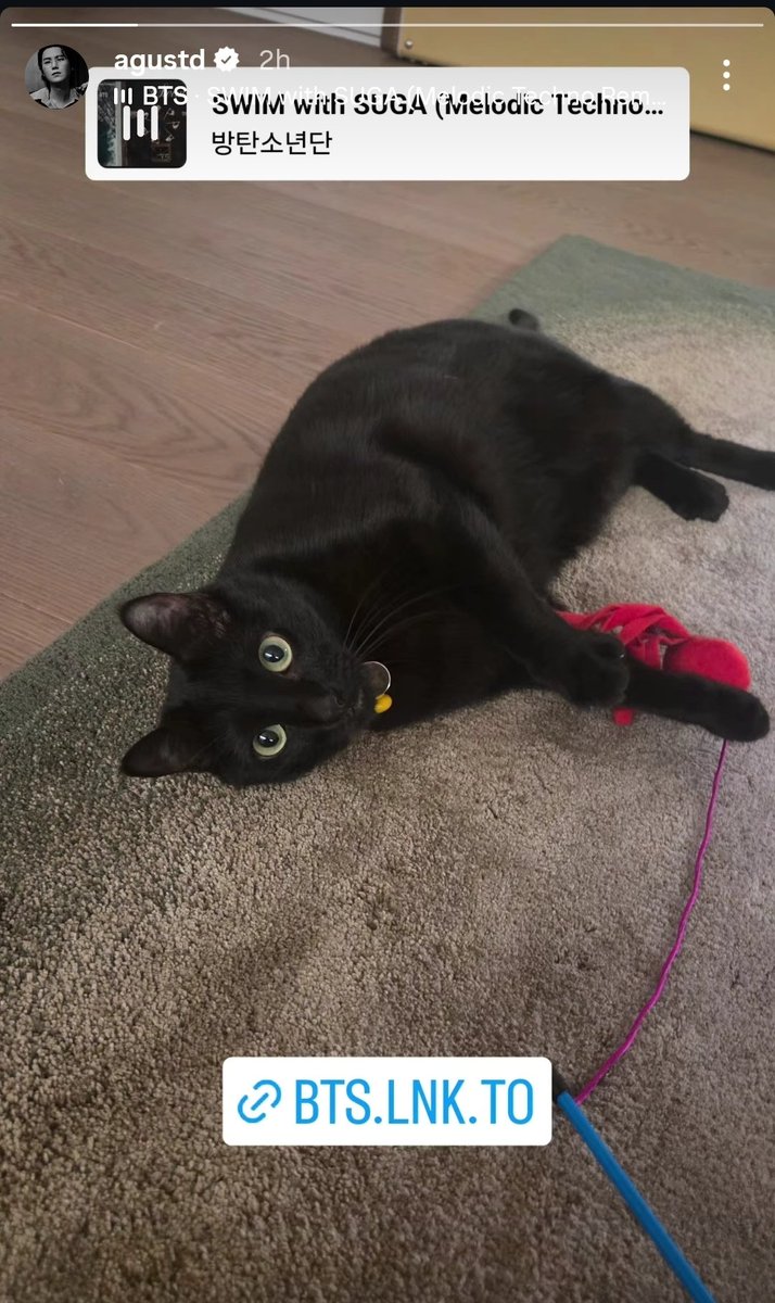 Rock Jin⁷ⒶⓇⒾⓇⒶⓃⒼ!!!(Heather) tweet media