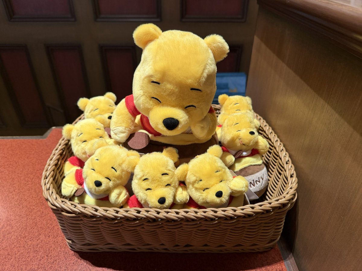 ariugxx's tweet photo. 小っちゃいプーしゃん、食べられちゃいそう https://t.co/AFgmHxZVZq