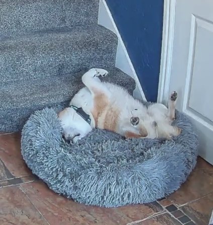 Martyn & Mika 🏴󠁧󠁢󠁷󠁬󠁳󠁿 tweet media