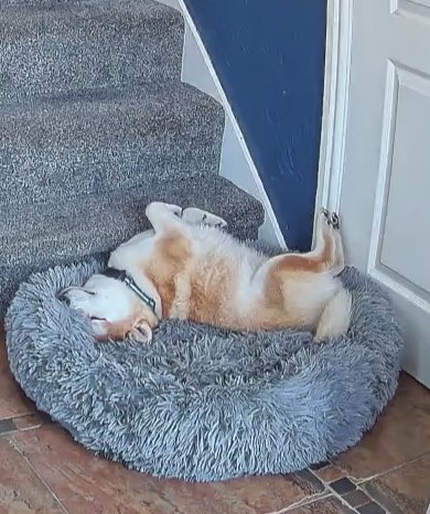 Martyn & Mika 🏴󠁧󠁢󠁷󠁬󠁳󠁿 tweet media