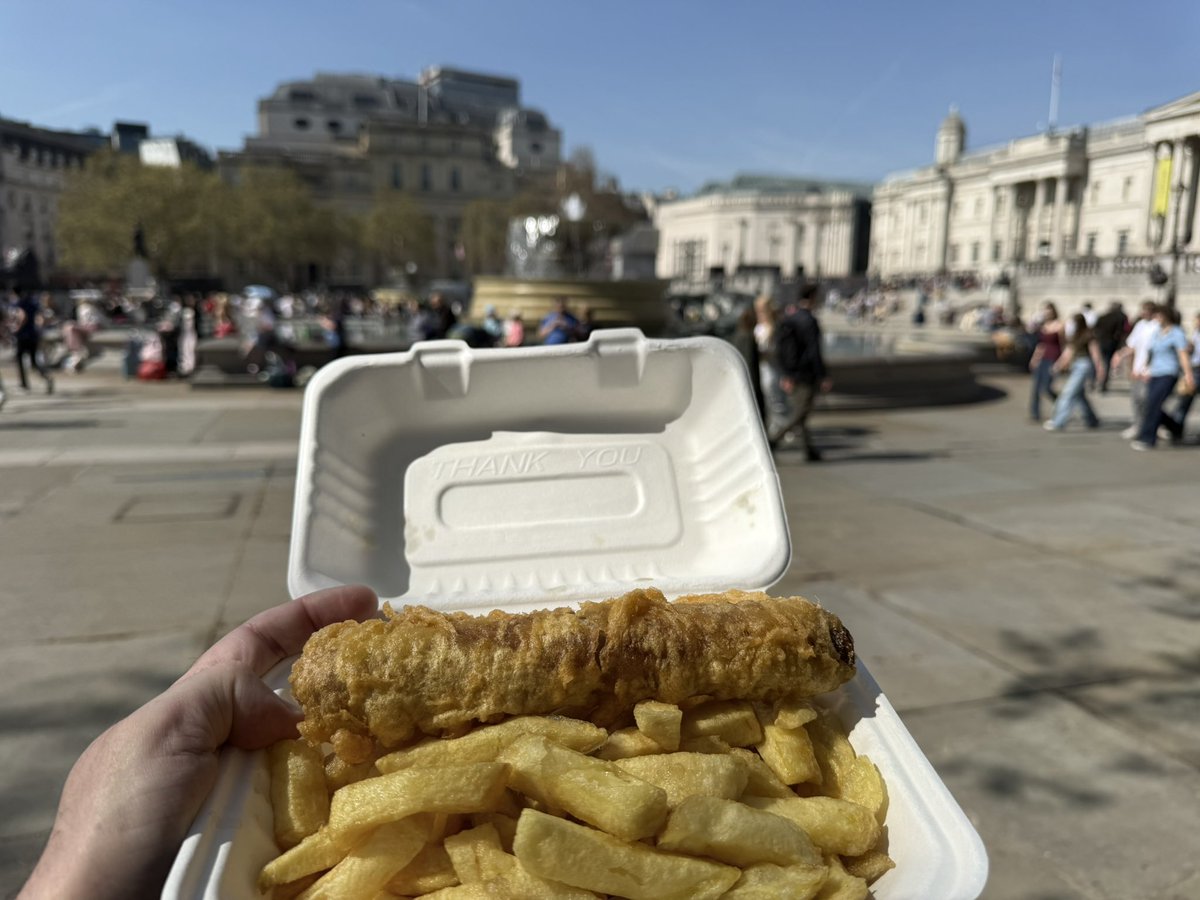 𝔅͛𝔯͛𝔦͛𝔞͛𝔫͛ ͛𝔚͛𝔥͛𝔢͛𝔩͛𝔱͛𝔬͛𝔫͛ tweet media