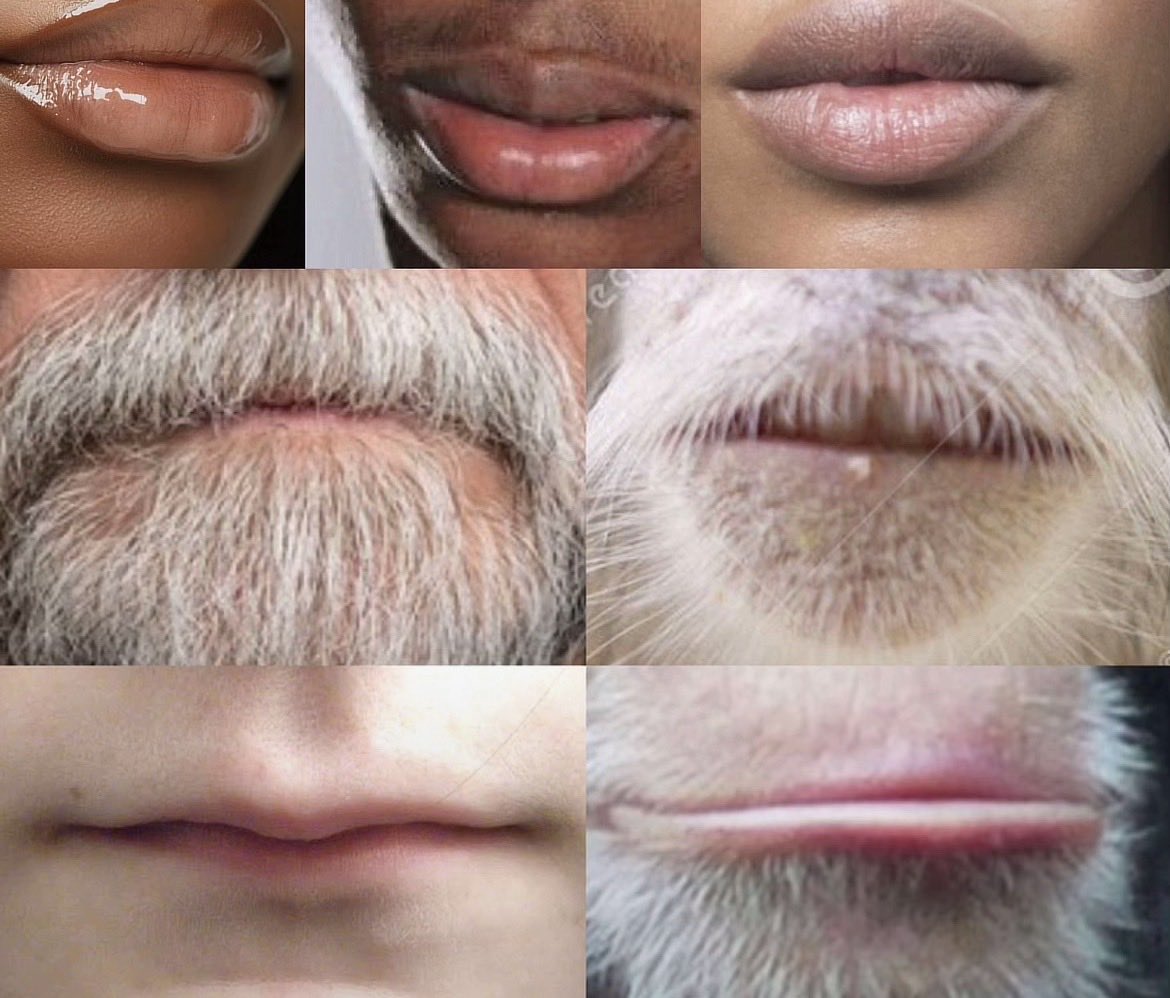 lul.30fordawin tweet media