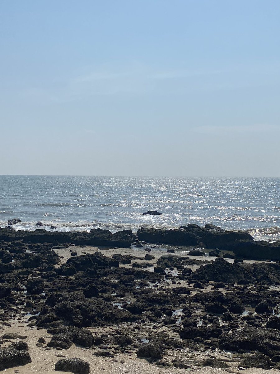 Niki🦊🐻🌻 tweet media