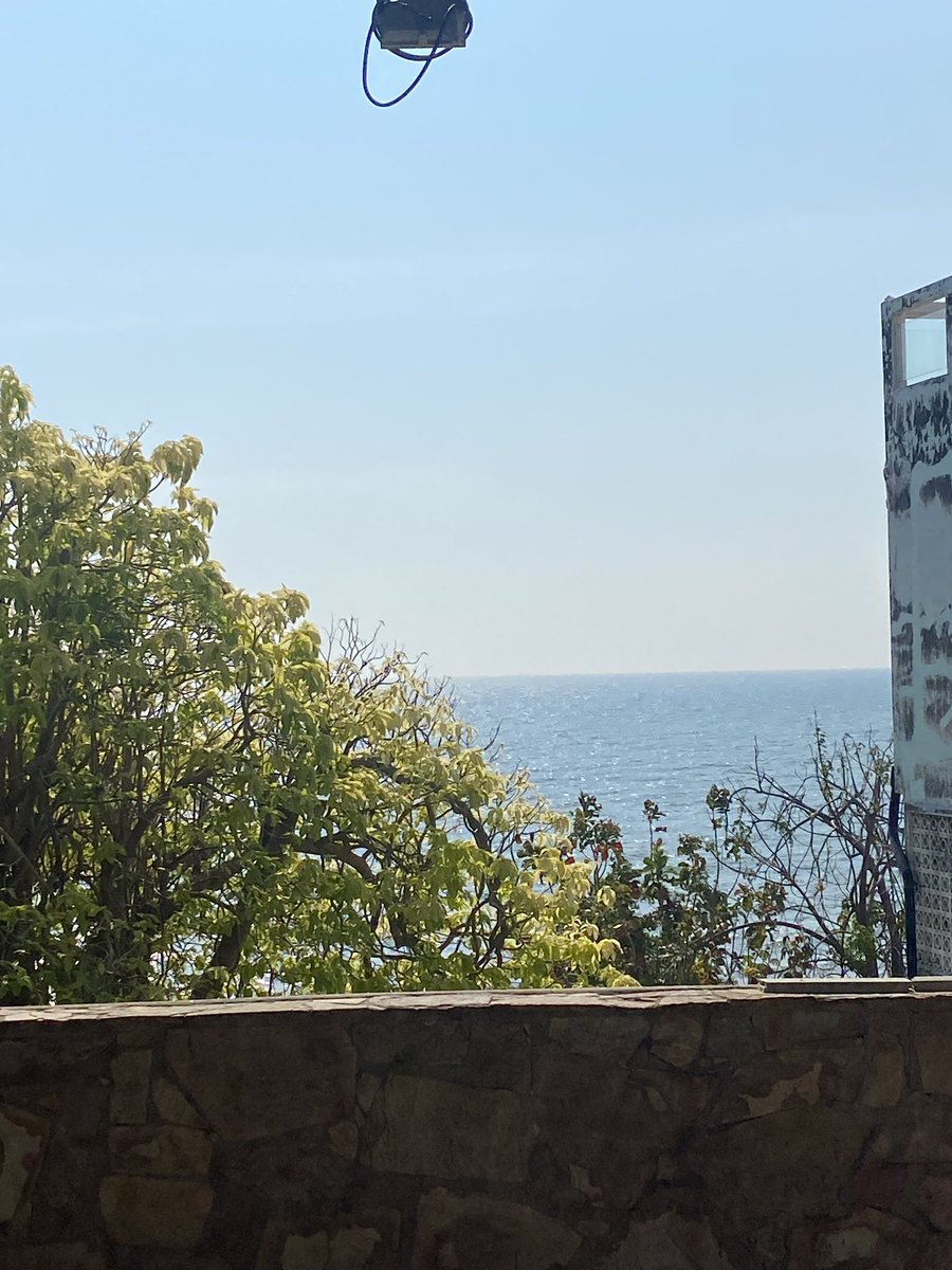 Niki🦊🐻🌻 tweet media