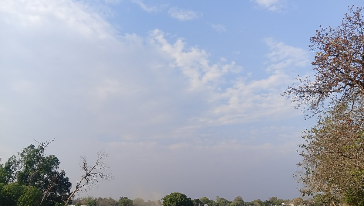 Ashvini65766591's tweet image. मैं तो गेहूं काट रहा हूं। 🌾

#गेहूं #बारिश