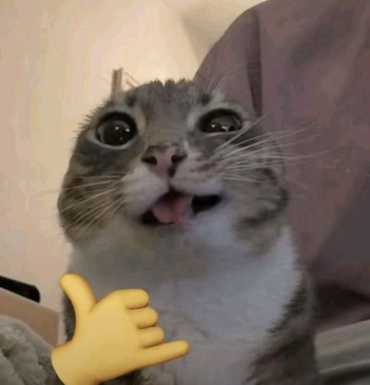 Sunyy | Open Commission ✦ tweet media